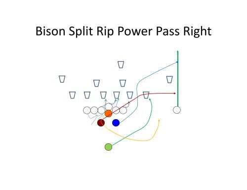 Triple B Bear/Bison Backfield Power Series - Gregory Double Wing