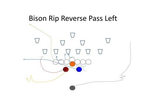 Triple B Bear/Bison Backfield Power Series - Gregory Double Wing