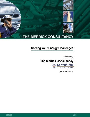 THE MERRICK CONSULTANCY - Merrick & Company