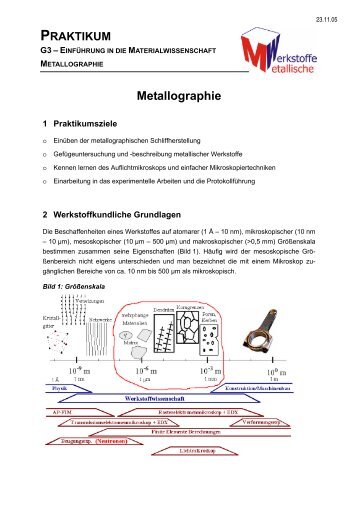 Metallographie - Lehrstuhl Metallische Werkstoffe