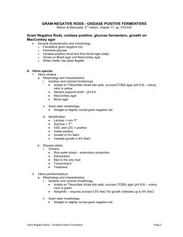 oxidase negative gram negative rods oxidase negative gram negative rods