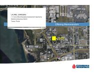 Offering Memorandum SITE - Cushwakelandfl.com