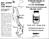 Mt\.lt\.WI SALTSâ¢ - The Cichlid Fishes of Lake Malawi, Africa