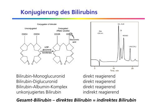 Ikterus - Institut für Klinische Chemie - UniversitätsSpital Zürich