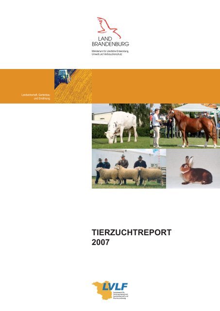 Tierzuchtreport_2007.pdf - Ministerium für Infrastruktur und ...