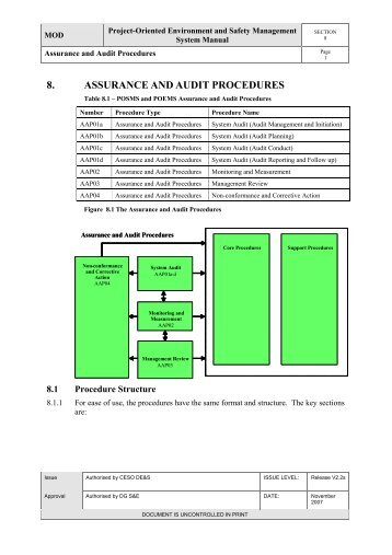 8. Assurance and Audit Procedures PDF