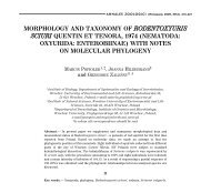 morphology and taxonomy of rodentoxyuris sciuri quentin et tenora ...