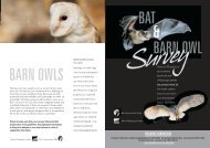 Bats and Barnowls Survey Leaflet