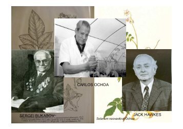 historia y origen de la papa cultivada - AsociaciÃ³n Latinoamericana ...