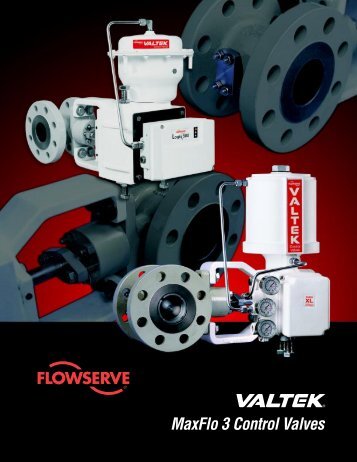 Valtek MaxFlo 3 Control Valves - Nooneycontrols.com