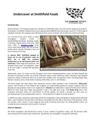 Undercover at Smithfield Foods - The Humane Society of the United ...