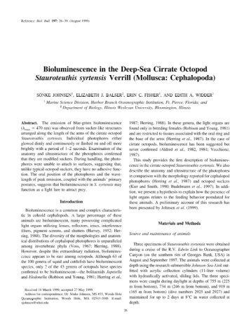 Bioluminescence in the Deep-Sea Cirrate Octopod ... - Duke Biology