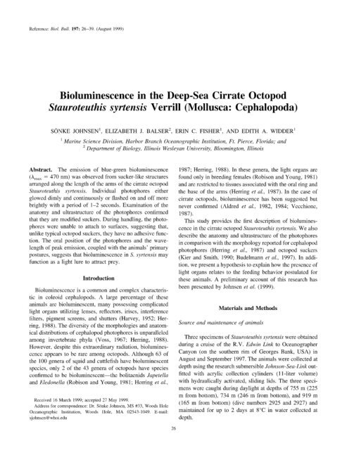 Bioluminescence in the Deep-Sea Cirrate Octopod ... - Duke Biology