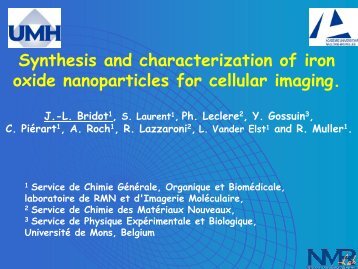 Synthesis and characterisation of iron oxide nanoparticles ... - Encite