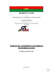 BURKINA FASO - INSD