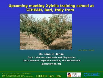 Upcoming meeting Xylella training school at CIHEAM ... - Cost 873