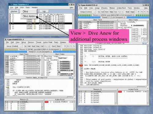 Guidelines on debugging and introduction to Totalview