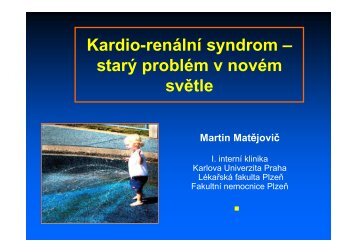 Kardio-renÃ¡lnÃ­ syndrom â starÃ½ problÃ©m v novÃ©m svÄtle