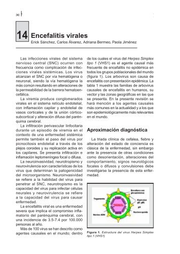 Encefalitis virales - AsociaciÃ³n Colombiana de NeurologÃ­a
