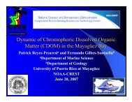 Dynamic of Chromophoric Dissolved Organic Matter (CDOM ... - CICS