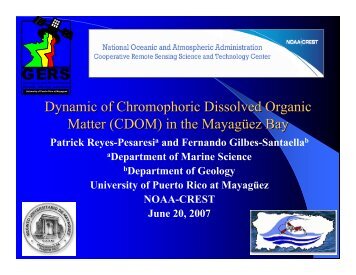 Dynamic of Chromophoric Dissolved Organic Matter (CDOM ... - CICS