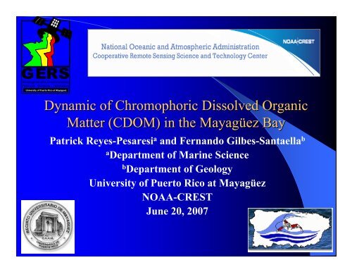 Dynamic of Chromophoric Dissolved Organic Matter (CDOM ... - CICS