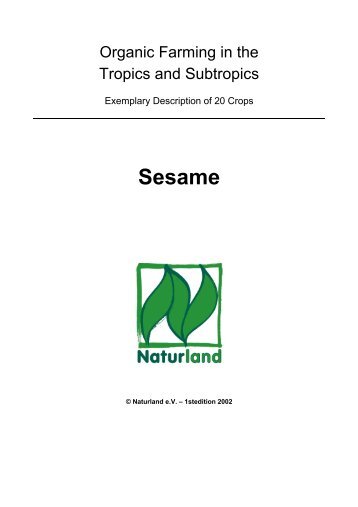 Organic Farming in the Tropics and Subtropics: Sesame - Naturland