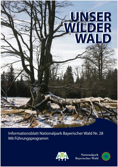 die Natur - Nationalpark Bayerischer Wald