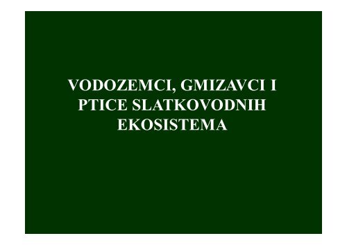 vodozemci, gmizavci i ptice slatkovodnih ekosistema - Raka Web