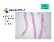 Radiologia ed istologia di lesioni benigne e preneoplastiche nonchÃ© ...