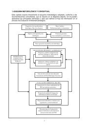 Esquema metodolÃ³gico y conceptual - ConfederaciÃ³n HidrogrÃ¡fica ...