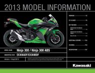 2013 Ninja 300