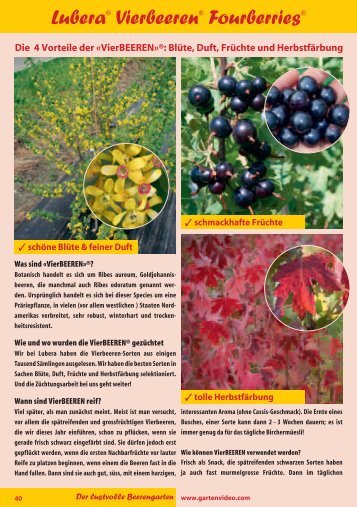 Katalog Beeren 2011 - Lubera