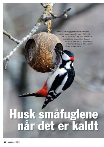 Husk smÃ¥fuglene nÃ¥r det er kaldt.pdf