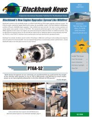 Blackhawk News Q2 2008 (.PDF) - Blackhawk Modifications, Inc.