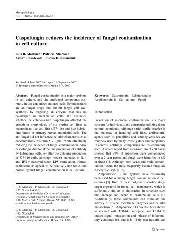 Caspofungin reduces the incidence of fungal contamination in cell ...