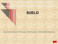 VII. MicrobiologÃ­a del suelo.pdf - biblioteca upibi