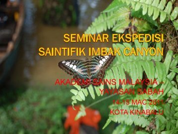 Keranda Kayu Balak Di Sabah - Akademi Sains Malaysia
