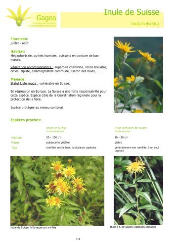 Floraison: Habitat: Menace: EspÃ¨ces proches: - Natures.ch