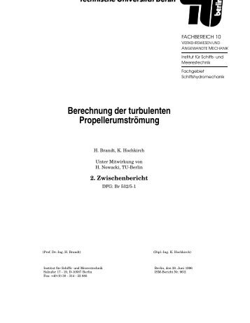 Berechnung der turbulenten PropellerumstrÂ¨omung