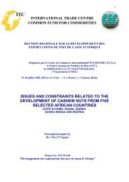 issues and constraints related to the development of cashew nuts ...