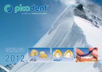 Download catalogue in italian - picodent
