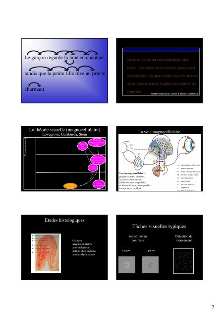 1 Lecture & Cerveau : apprentissage, lecture experte, et ...