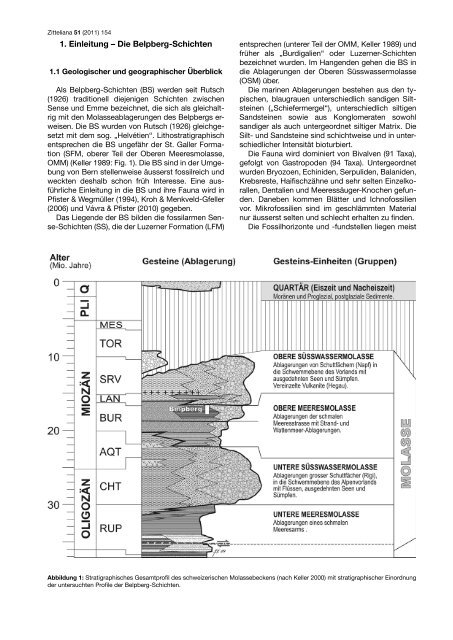 Die Molluskenfauna der St. Galler Formation - Naturhistorisches ...