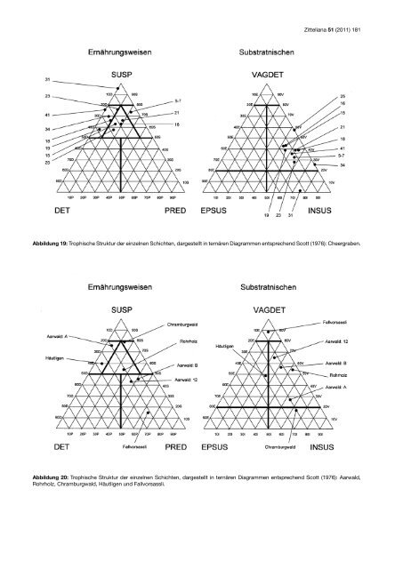 Die Molluskenfauna der St. Galler Formation - Naturhistorisches ...