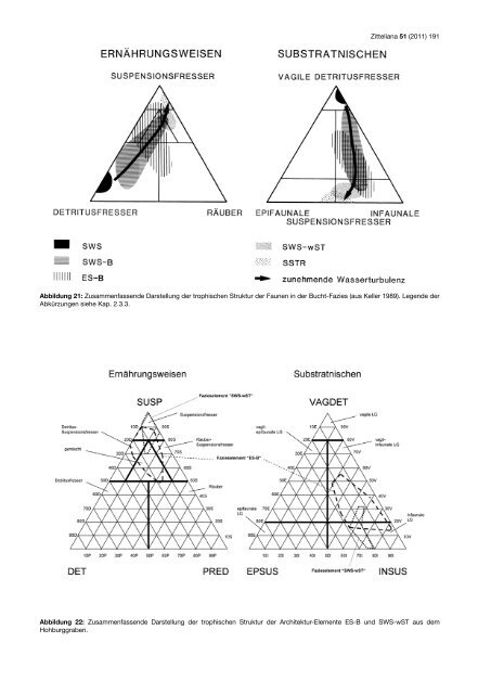 Die Molluskenfauna der St. Galler Formation - Naturhistorisches ...