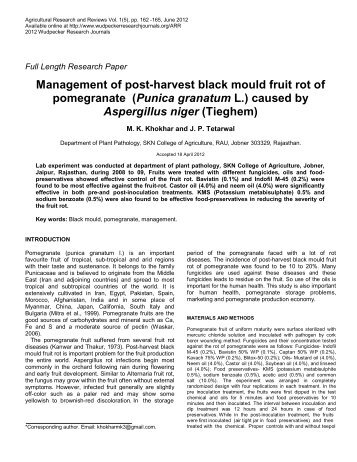 Management of post-harvest black mould fruit rot of pomegranate ...