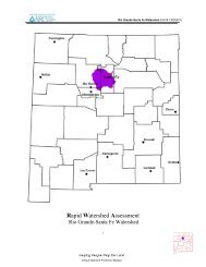 Rapid Watershed Assessment - New Mexico NRCS - US ...