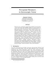 Perceptual Metamers in Stereoscopic Vision - Machine Learning ...