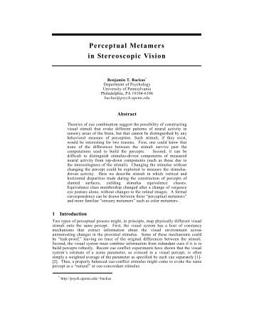 Perceptual Metamers in Stereoscopic Vision - Machine Learning ...